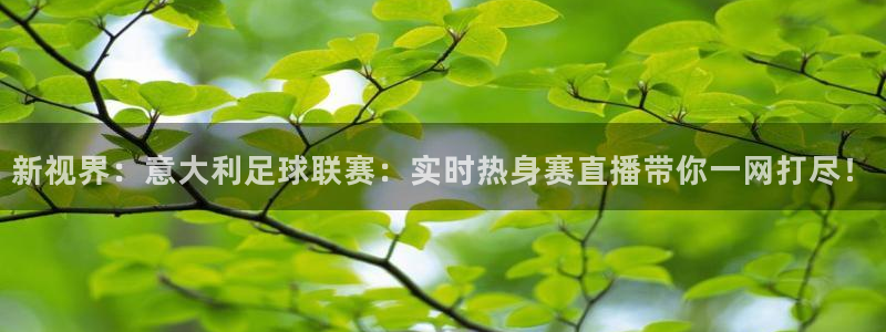 新视界：意大利足球联赛：实时热身赛直播带你一网打尽！