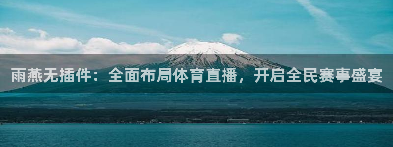 雨燕无插件：全面布局体育直播，开启全民赛事盛宴