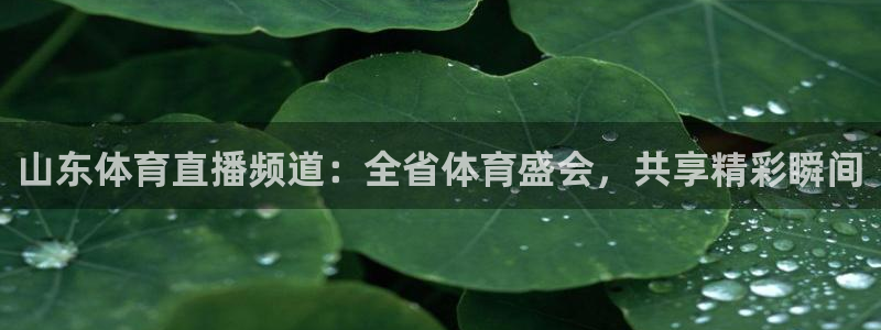 山东体育直播频道：全省体育盛会，共享精彩瞬间