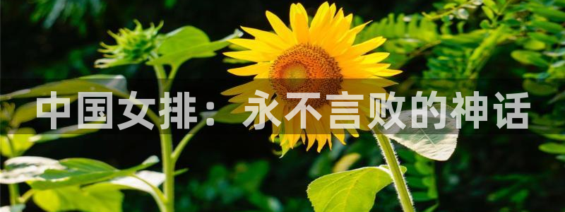 中国女排：永不言败的神话