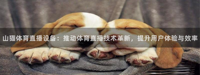 山猫体育直播设备：推动体育直播技术革新，提升用户体验与效率